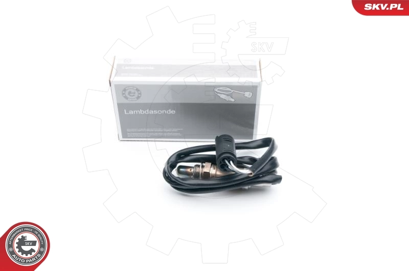 Oxygen Sensor
